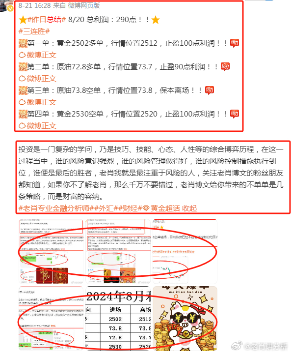 大三巴免费资料一肖,实地观察解释定义_ODP49.780VR版