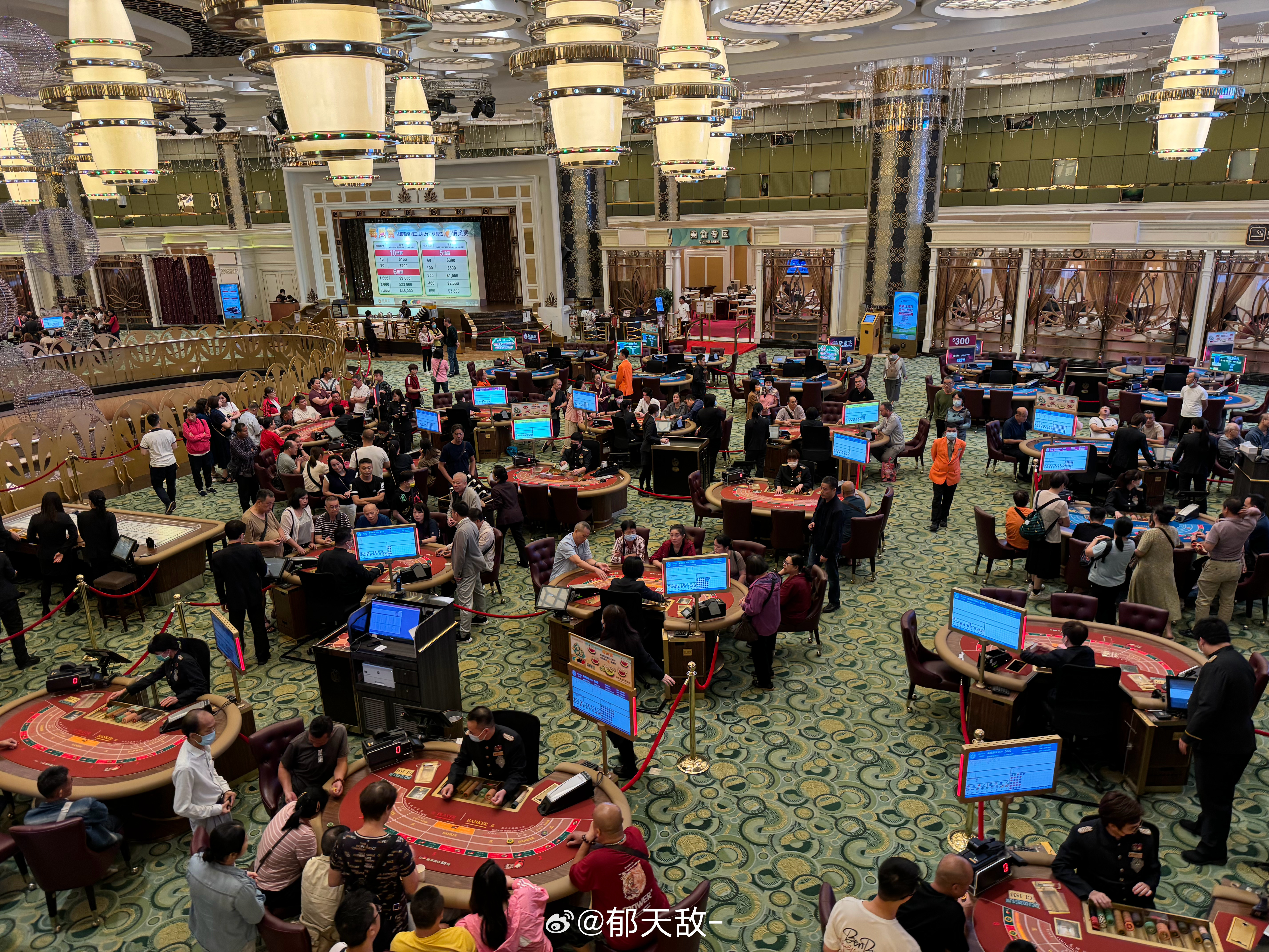 今晚上一特中马澳门,专业解读方案实施_BBQ49.354目击版