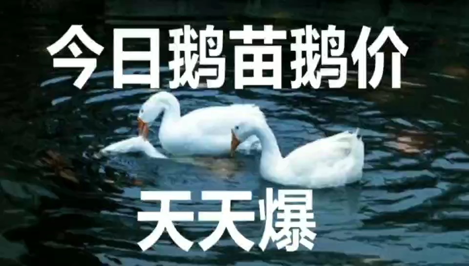 实验行业冷库 第306页