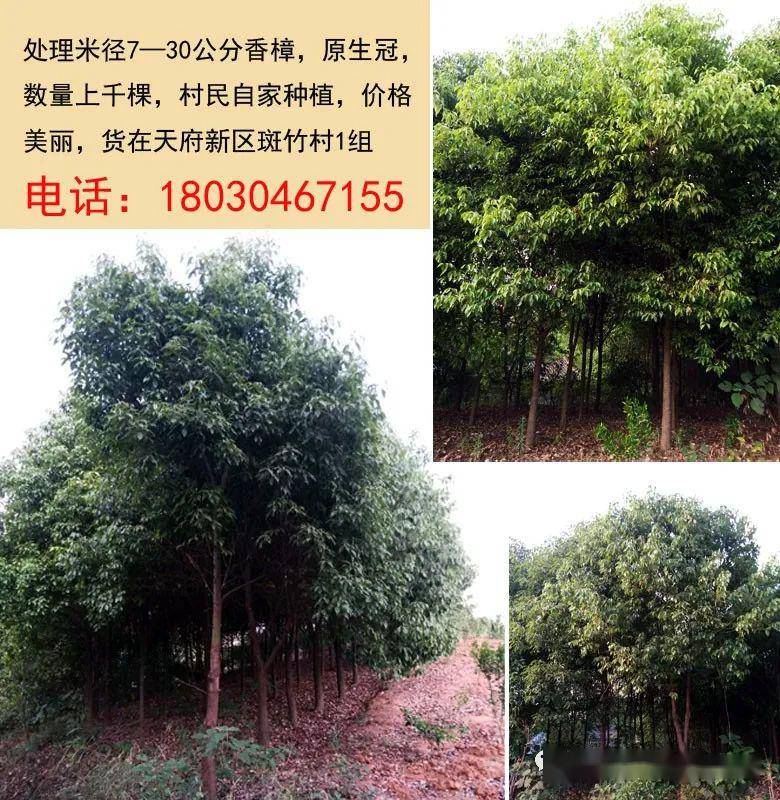 小型冷库设计 第310页