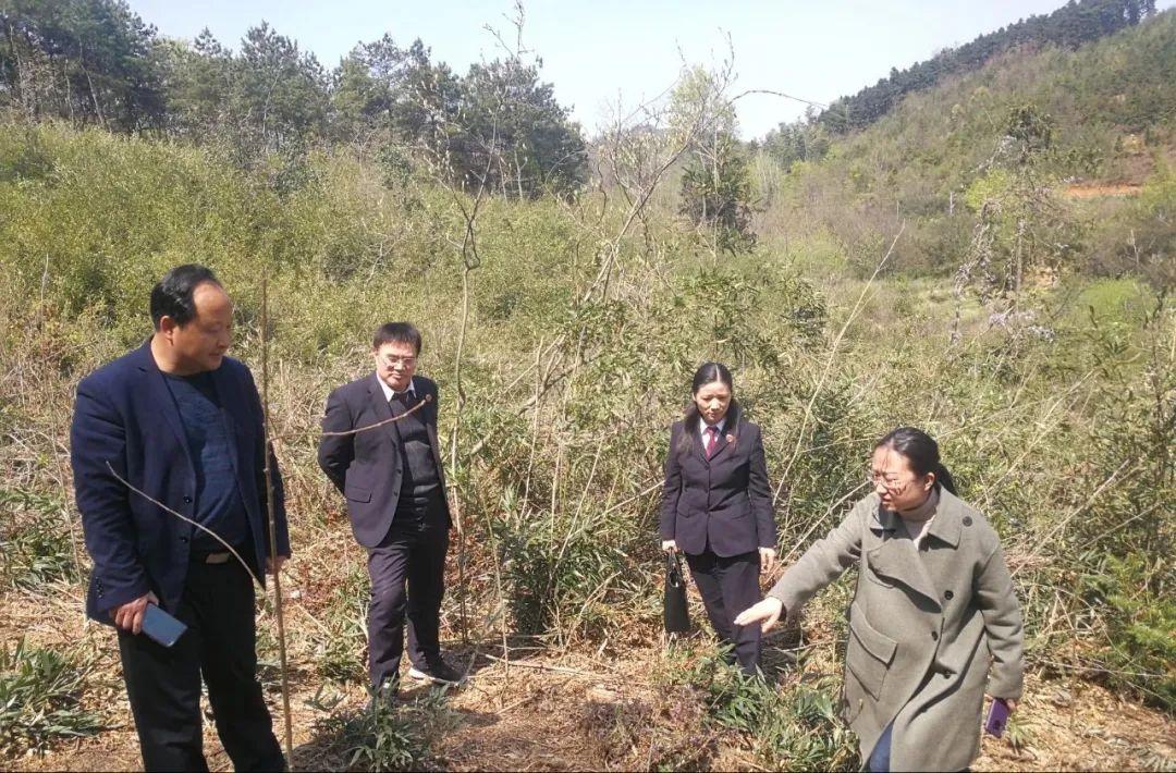 小型冷库设计 第305页