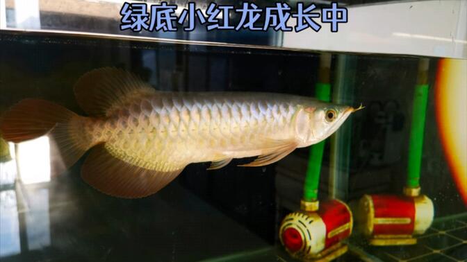 实验行业冷库 第313页