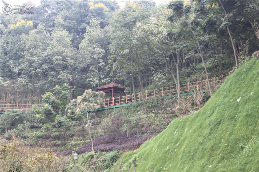 小型冷库设计 第274页