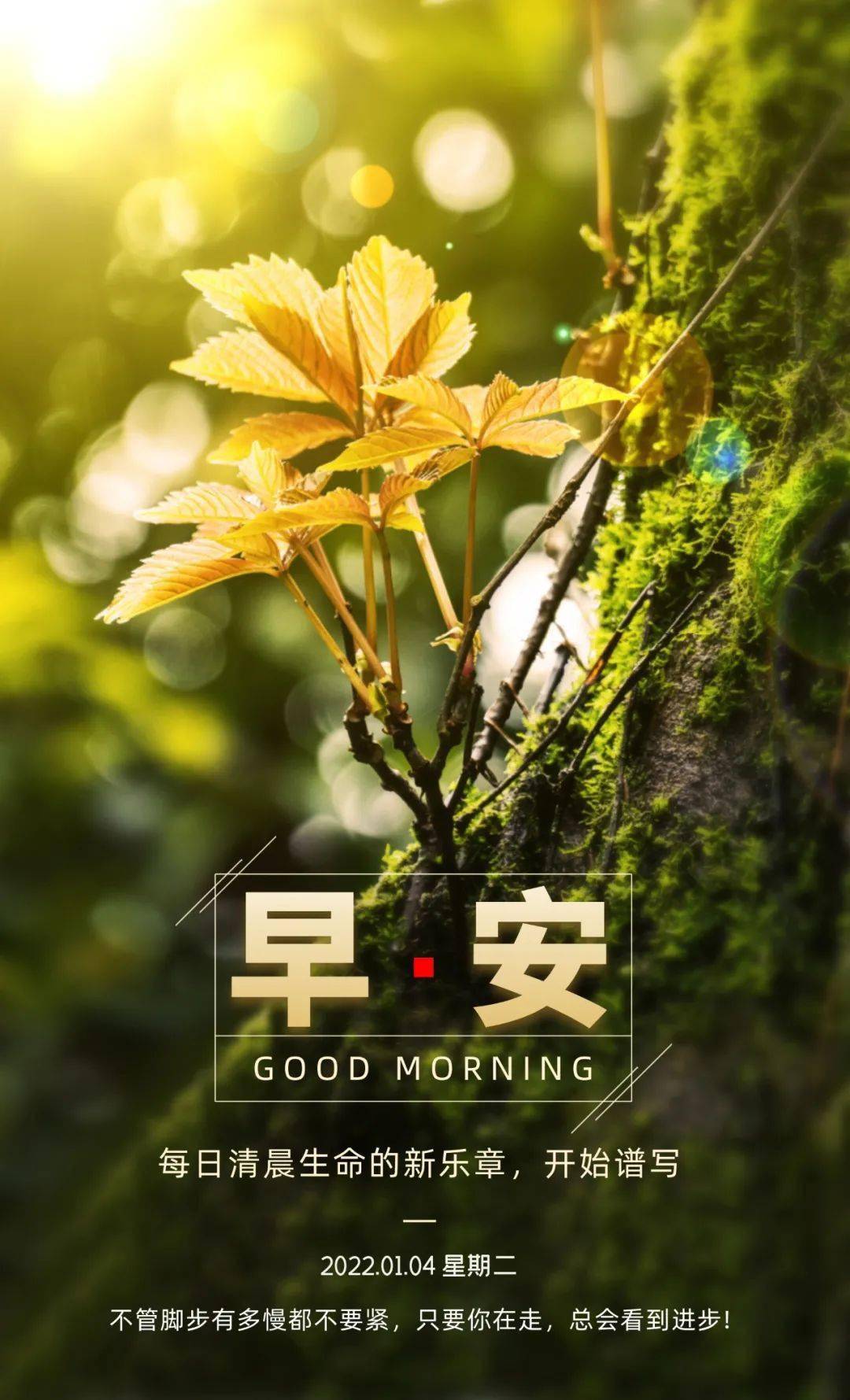 最新早安寄语，学习变化，自信成就，美好每一天！