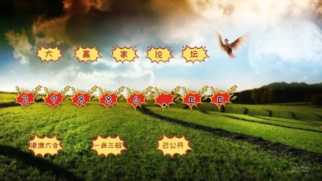 新澳门4949六开彩,全面数据分析_实用版26.943