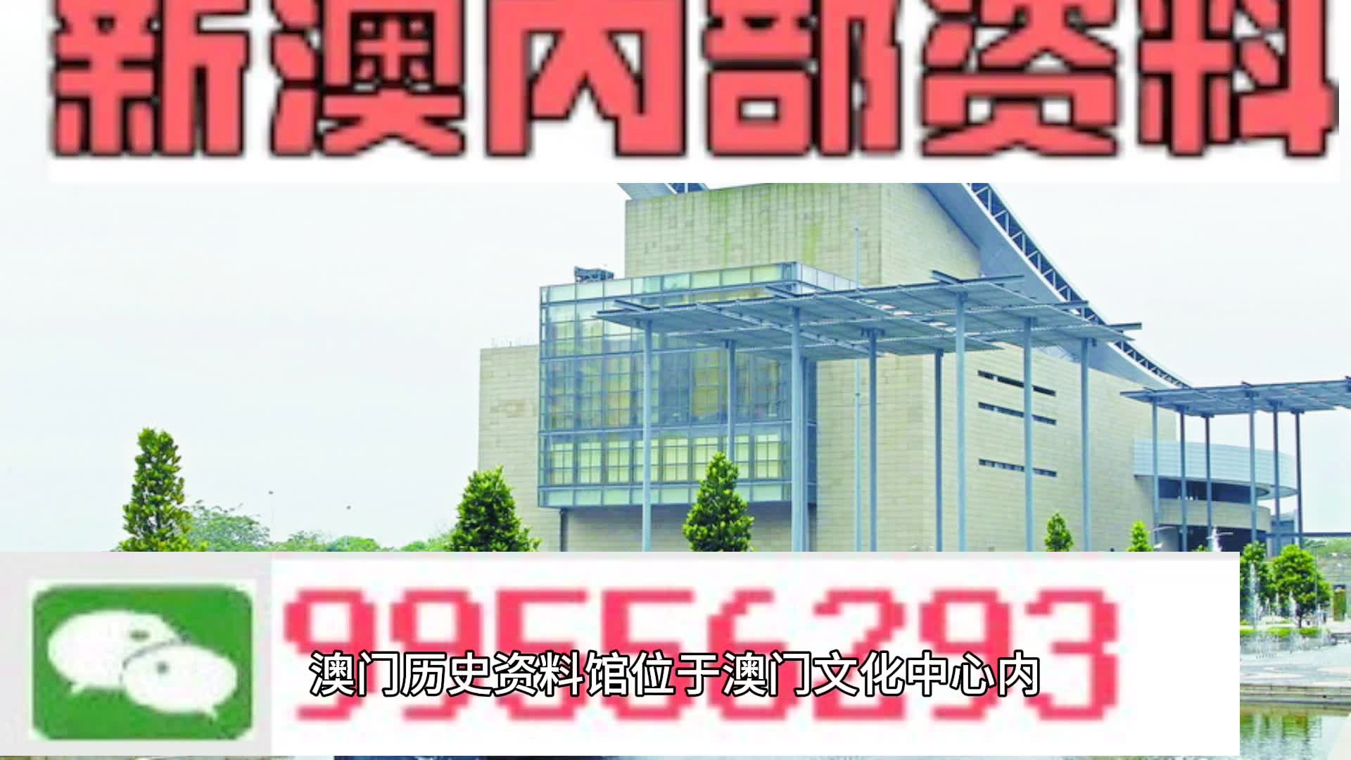 新澳门资料免费长期公开,2024,实际调研解析_人工智能版91.764
